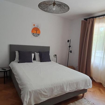 The Pines Serviced Apartments Braşov Extérieur photo