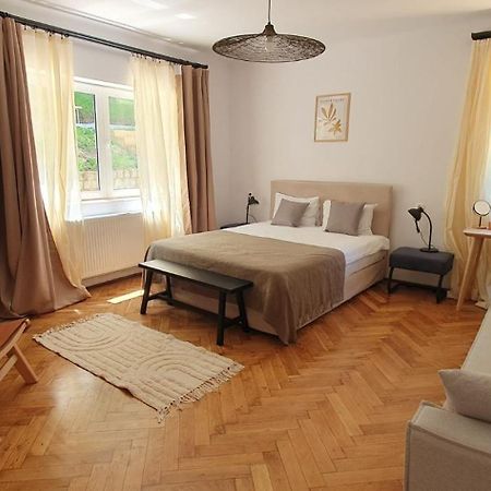 The Pines Serviced Apartments Braşov Extérieur photo