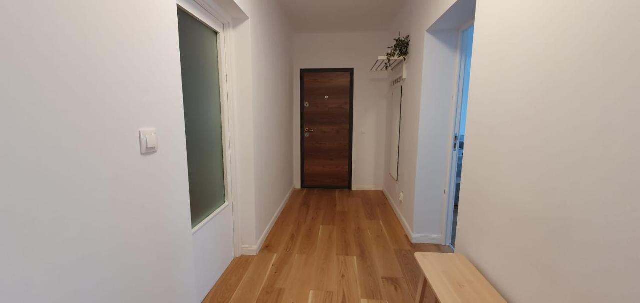 The Pines Serviced Apartments Braşov Extérieur photo