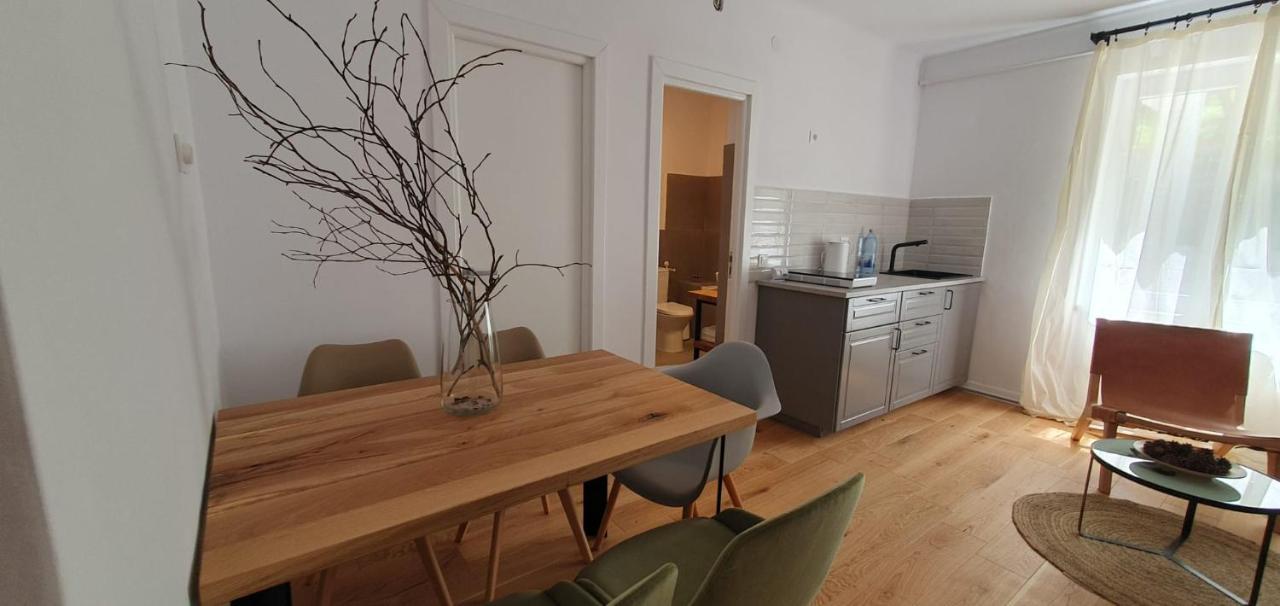 The Pines Serviced Apartments Braşov Extérieur photo