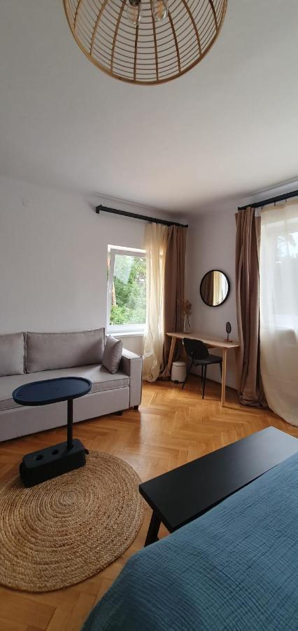 The Pines Serviced Apartments Braşov Extérieur photo