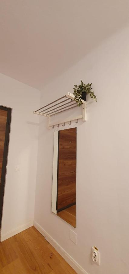 The Pines Serviced Apartments Braşov Extérieur photo