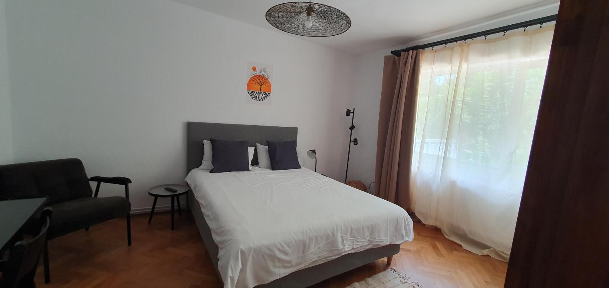 The Pines Serviced Apartments Braşov Extérieur photo